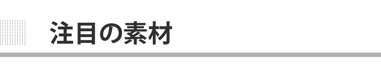 注目の素材